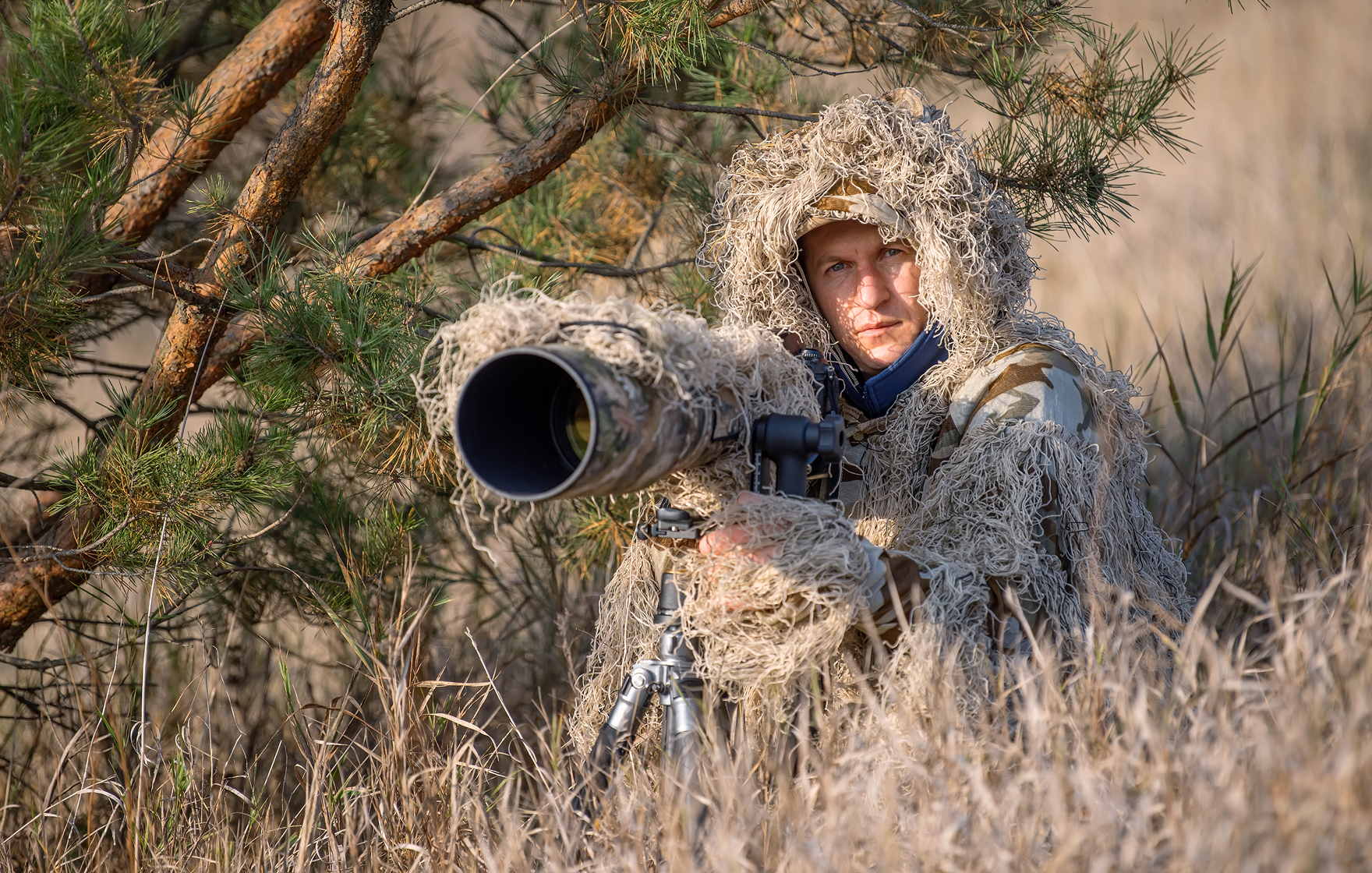 Advertisement Banner 2